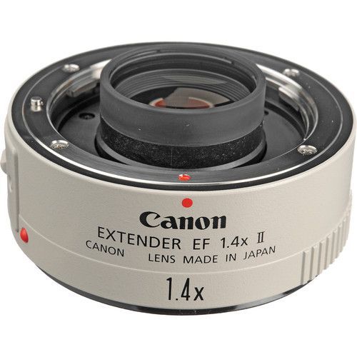 canon teleconverter option 1 1 | Tropical Photo Tours