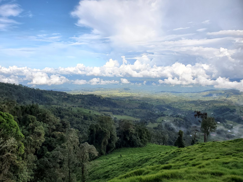 Costa Rica Through the Lens: A Country Where Nature Speaks in Detail | Tropical Photo Tours Costa Rica Bird Photo Tour Through the Lens A Country Where Nature Speaks in Detail | Tropical Photo Tours