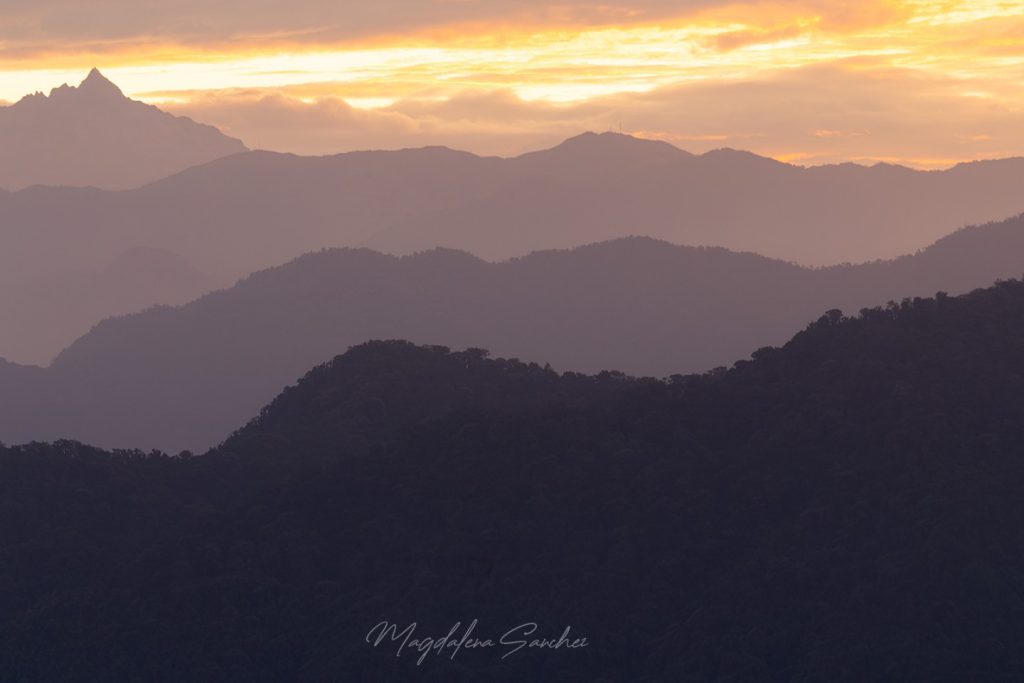 Ecuador Photo Adventure – 10 Days of Birds, Beauty & Friendship | Tropical Photo Tours 70A6528 copy | Tropical Photo Tours