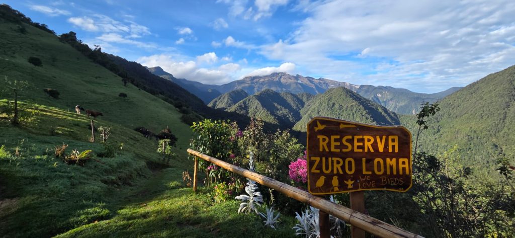 Ecuador Photo Adventure – 10 Days of Birds, Beauty & Friendship | Tropical Photo Tours Zuro loma | Tropical Photo Tours