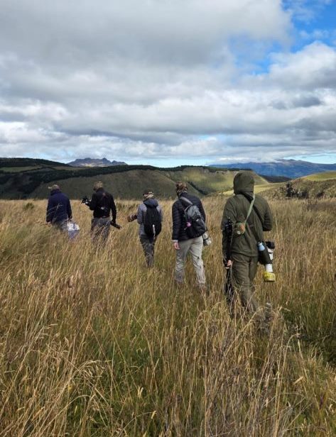 Ecuador Photo Adventure – 10 Days of Birds, Beauty & Friendship | Tropical Photo Tours Group walking in Antisana 473x1024 1 | Tropical Photo Tours