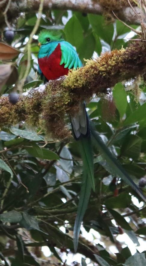 1 | Tropical Photo Tours