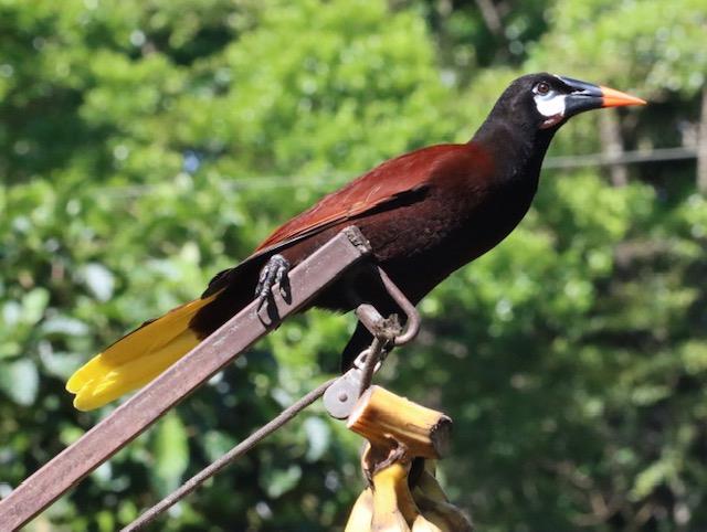 10 | Tropical Photo Tours