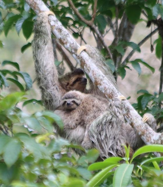 2 | Tropical Photo Tours