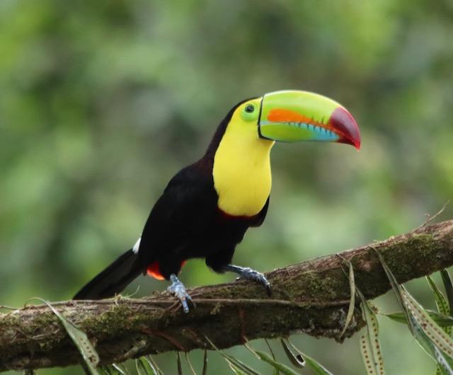 6 1 | Tropical Photo Tours