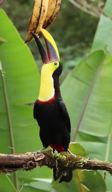 7 | Tropical Photo Tours