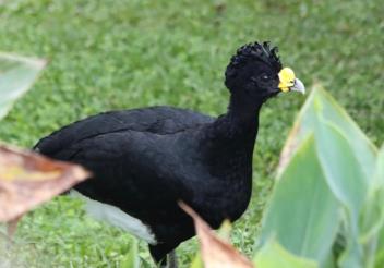 8 | Tropical Photo Tours