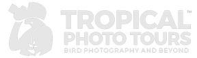 Tropical Photo Tours